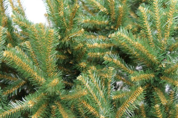 Brad artificial Christmas Deluxe by Sersimo, Scandinav, 220cm - Image 3