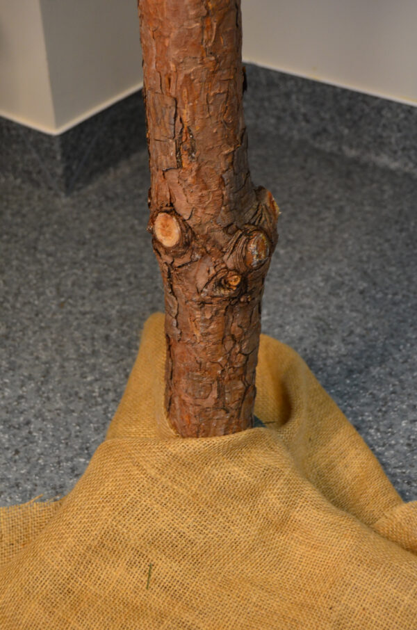 Mesterséges karácsonyfa Christmas Deluxe by Sersimo, fa törzsű talppal, Nature, 220 cm - Image 7