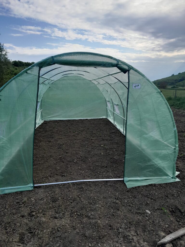 Image #1 from Rus Ramona