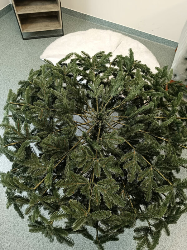 Christmas Deluxe by Sersimo® mesterséges karácsonyfa – Canada zöld, 3D, 230 cm - Image 17