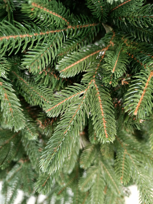 Mesterséges karácsonyfa Christmas Deluxe by Sersimo, Carpati, 2D+3D, 210 cm - Image 3