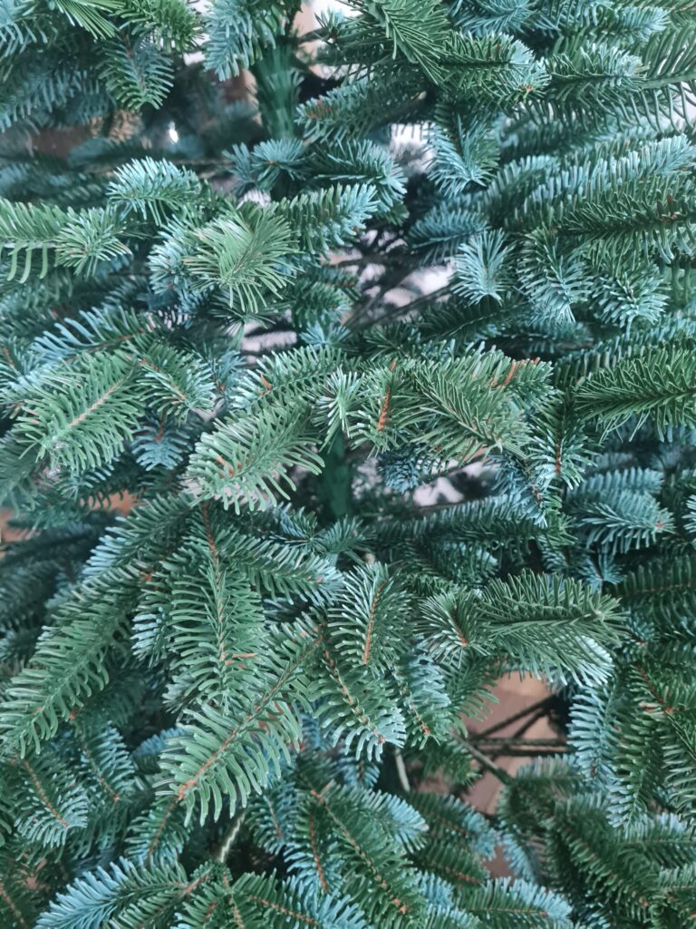 Image #2 from Andrada