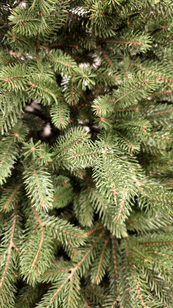 Mesterséges karácsonyfa – Christmas Deluxe by Sersimo, Alpin Select, teljesen 3D, 180 cm - Image 11