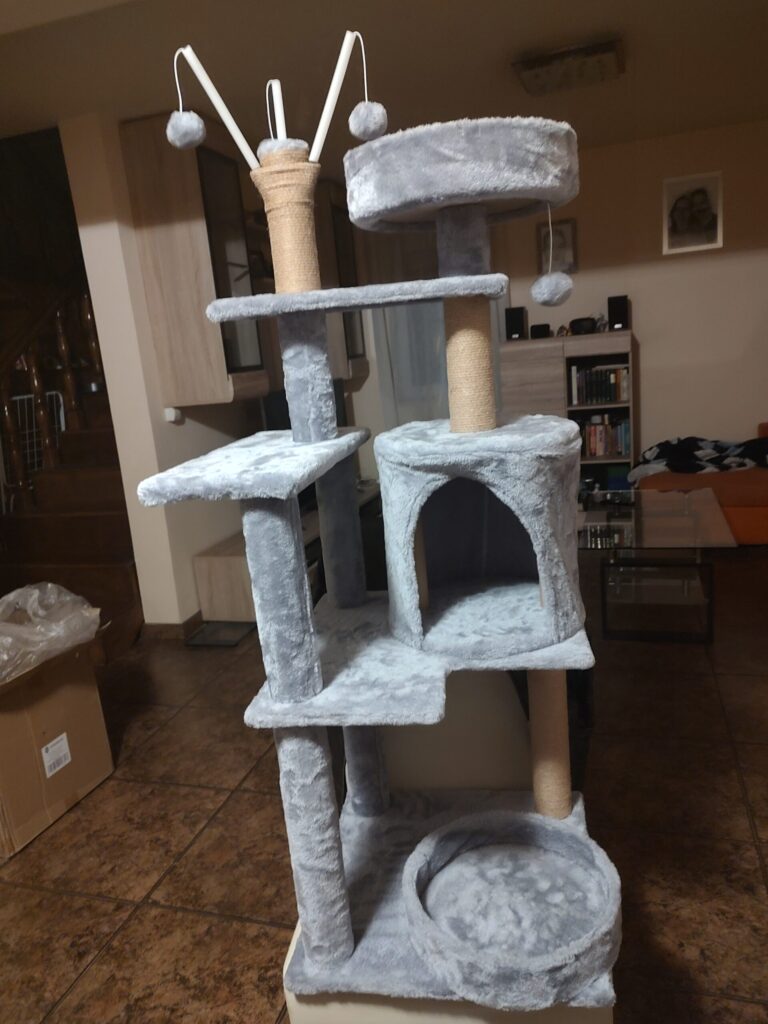 Image #2 from Anamaria