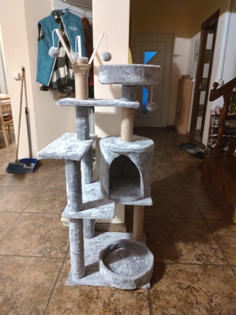 Image #1 from Anamaria