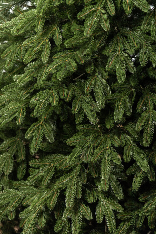 Műkarácsonyfa Christmas Deluxe by Sersimo, Laponia Select, teljes 3D, 230 cm - Image 20