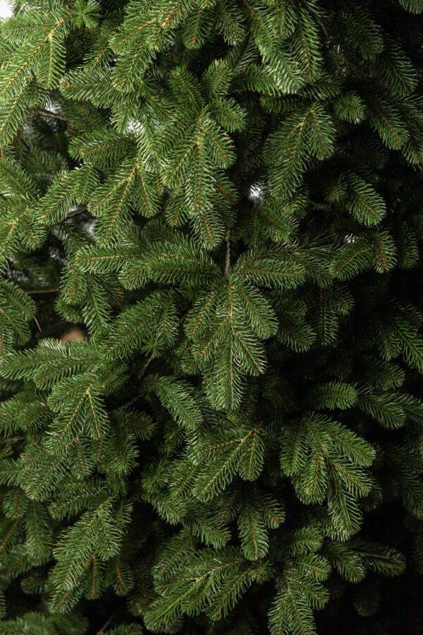Mesterséges karácsonyfa – Christmas Deluxe by Sersimo, Kovalivka Select, teljesen 3D, 230 cm - Image 14