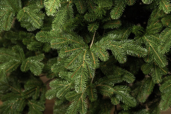 Mesterséges karácsonyfa – Christmas Deluxe by Sersimo, Kovalivka Select, teljesen 3D, 230 cm - Image 18
