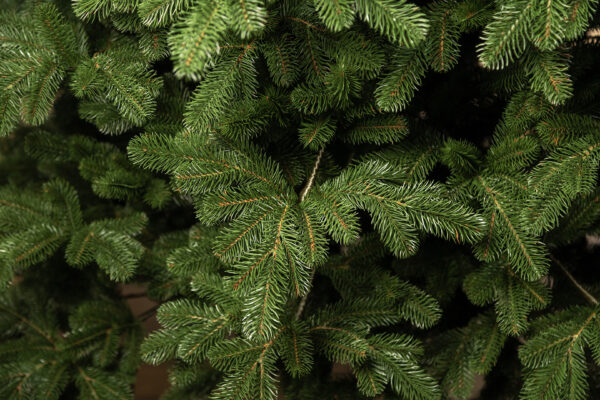 Mesterséges karácsonyfa – Christmas Deluxe by Sersimo, Kovalivka Select, teljesen 3D, 230 cm - Image 19