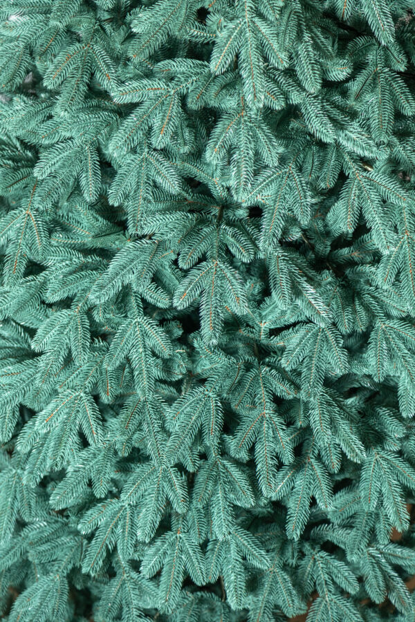 Mesterséges karácsonyfa Christmas Deluxe by Sersimo, Laponia Select ezüst, teljes 3D, 230 cm - Image 25
