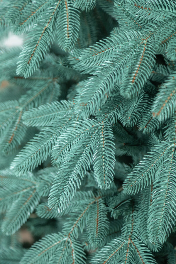 Mesterséges karácsonyfa Christmas Deluxe by Sersimo, Laponia Select ezüst, teljes 3D, 230 cm - Image 29