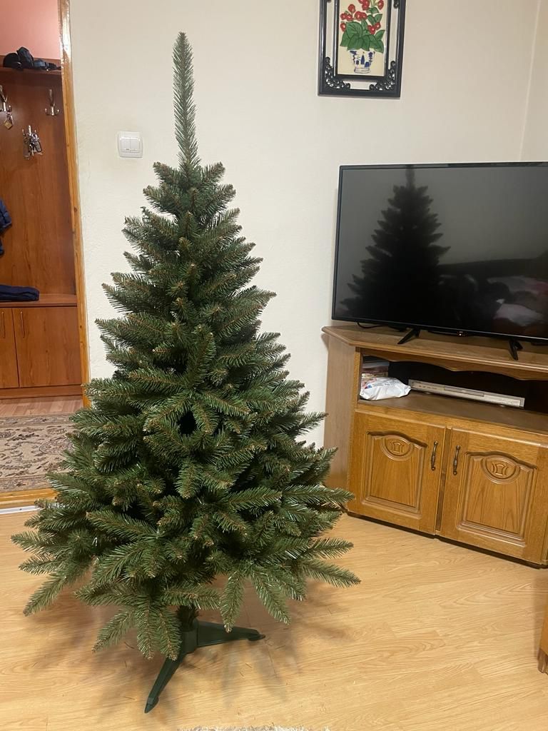 Image #1 from Camelia