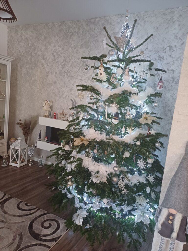 Image #2 from Hobincă Mihaela
