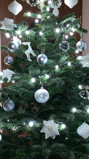 Image #1 from Pop Doina