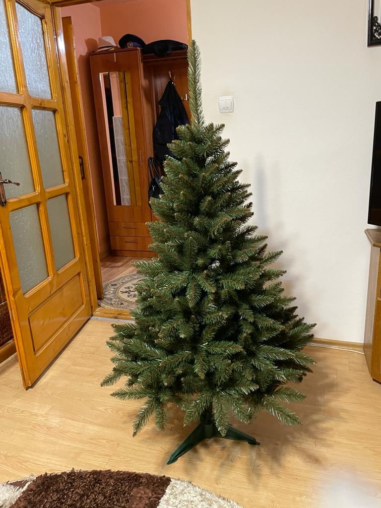 Image #3 from Camelia