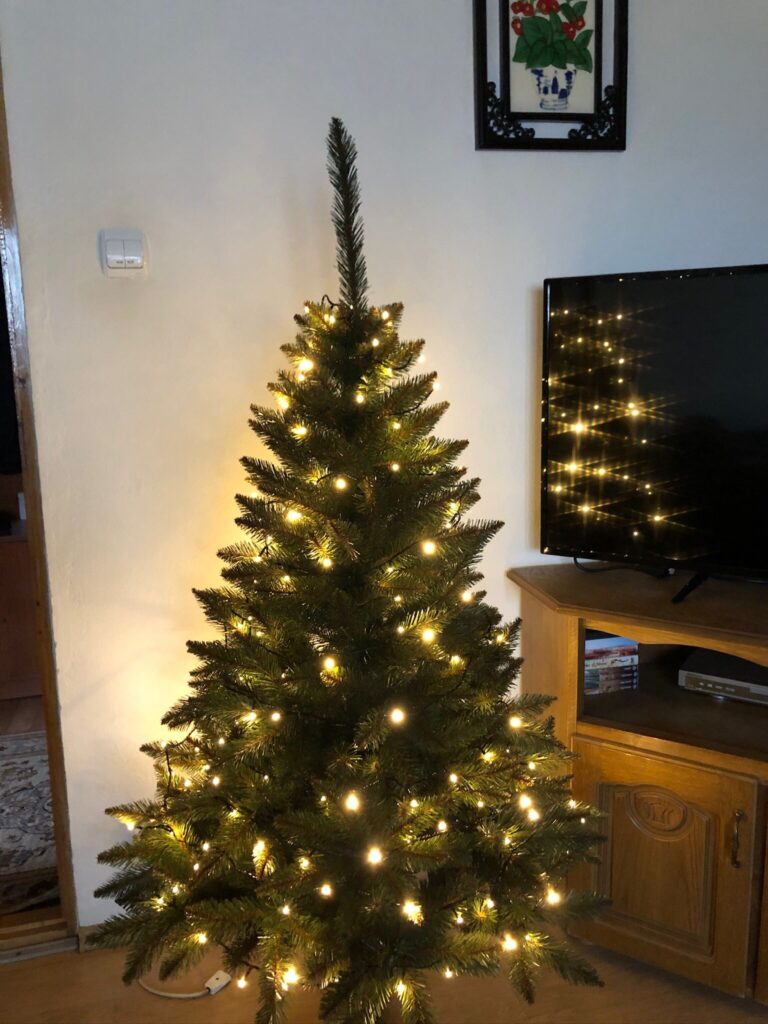 Image #2 from Camelia