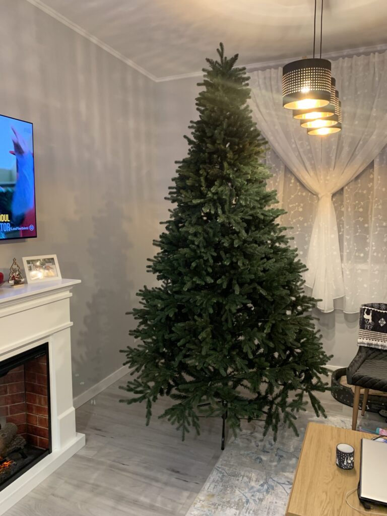 Image #2 from Daniela