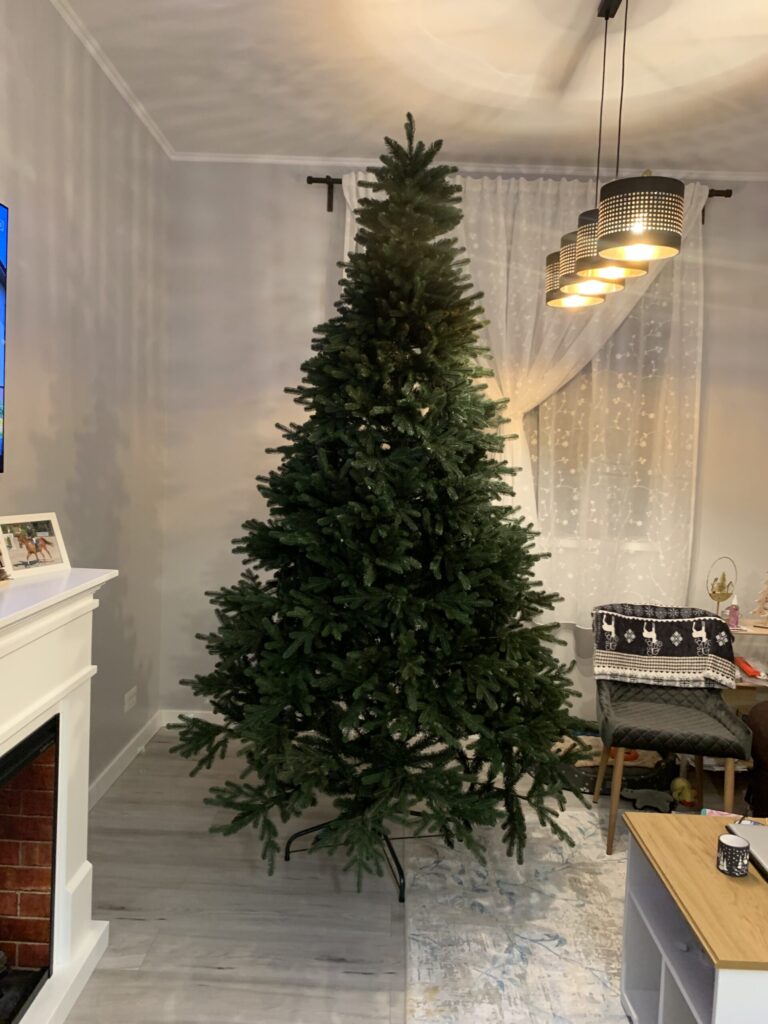 Image #1 from Daniela