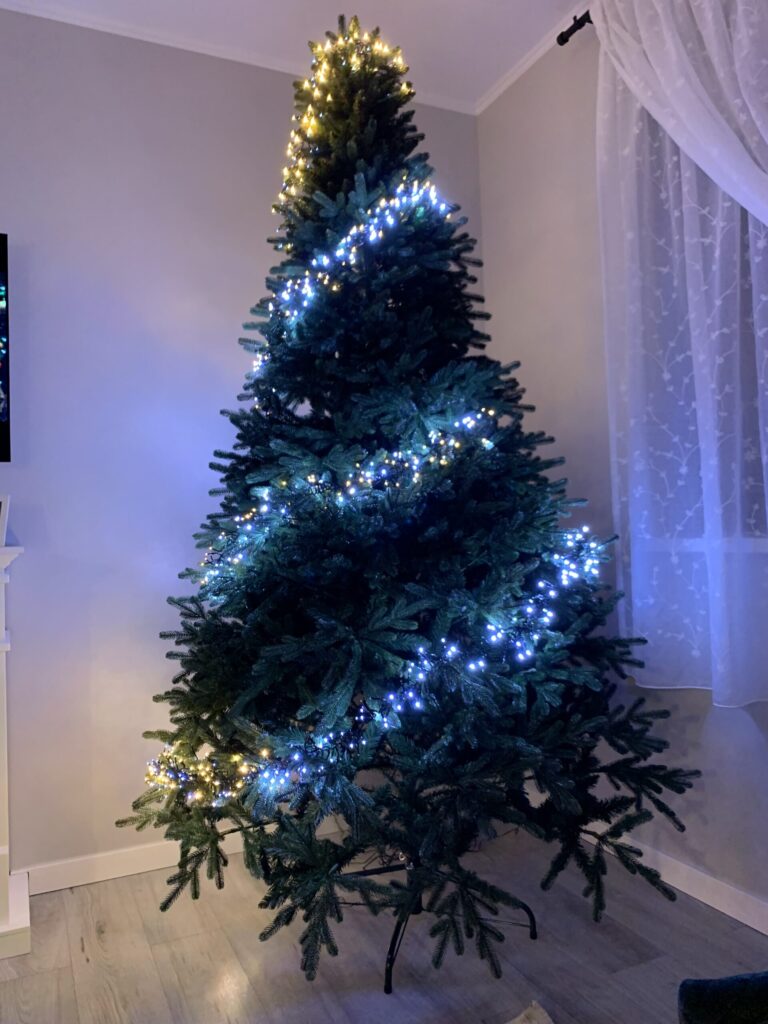 Image #4 from Daniela