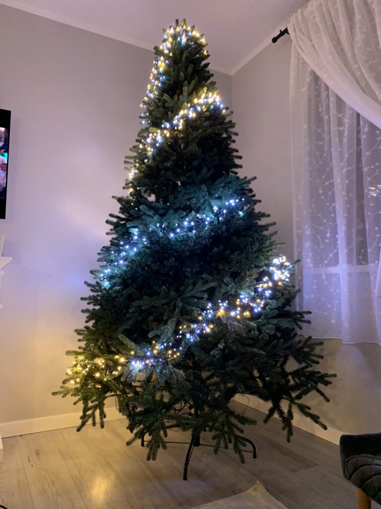 Image #3 from Daniela