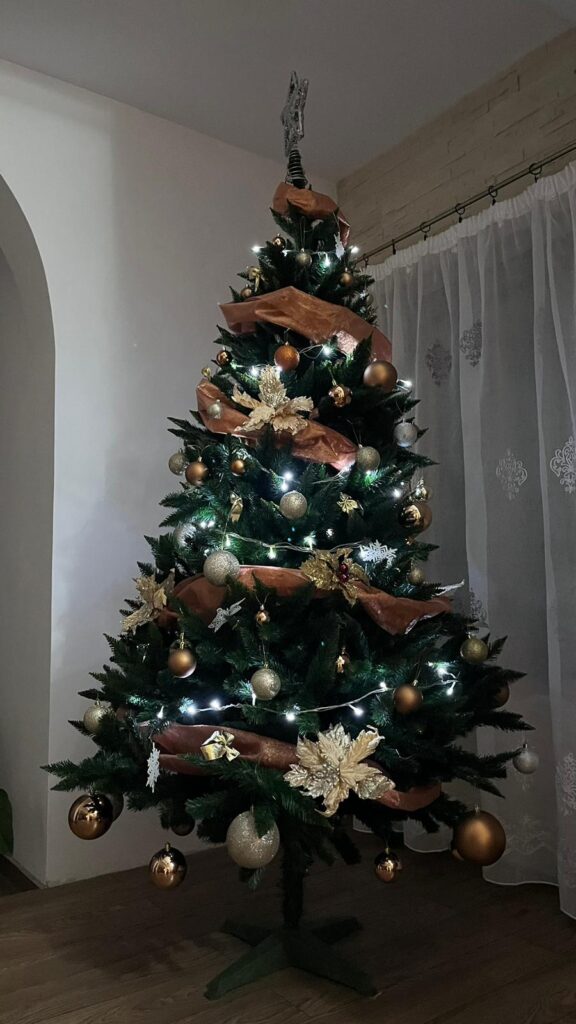 Image #1 from Ciobanu Raluca