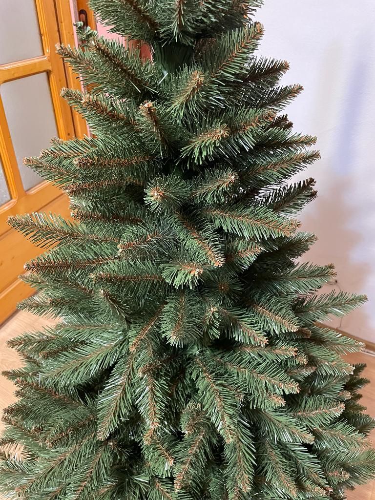 Image #4 from Camelia