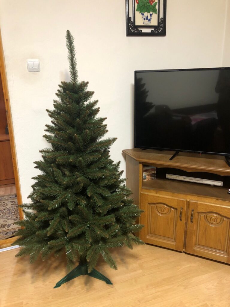 Image #5 from Camelia