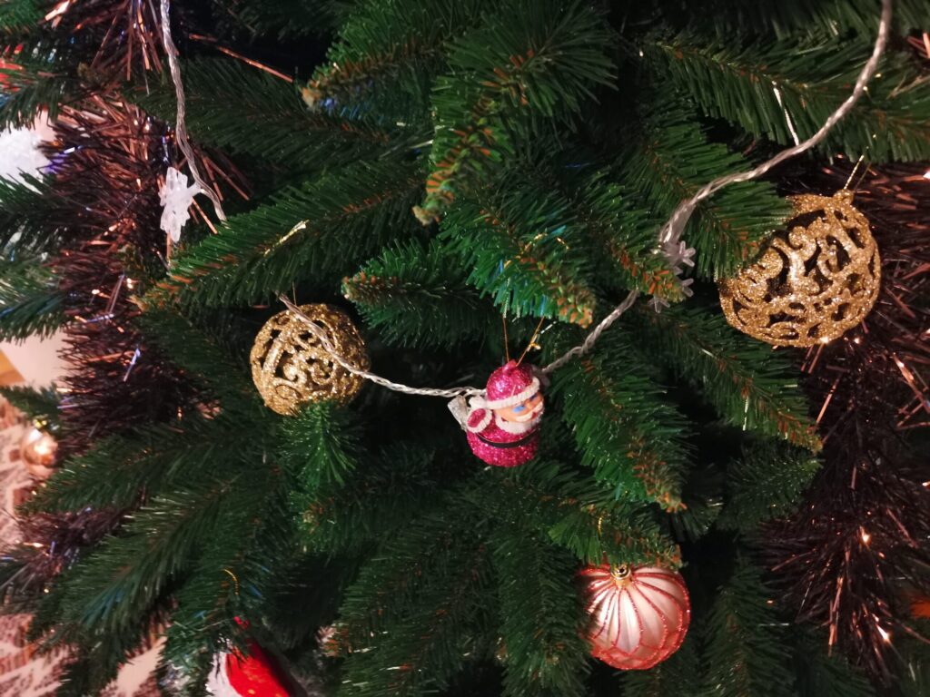 Image #2 from Axente Stela