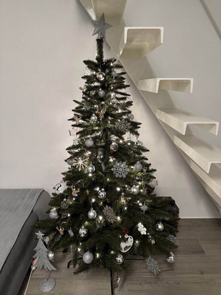 Image #1 from Elisa Corcodel