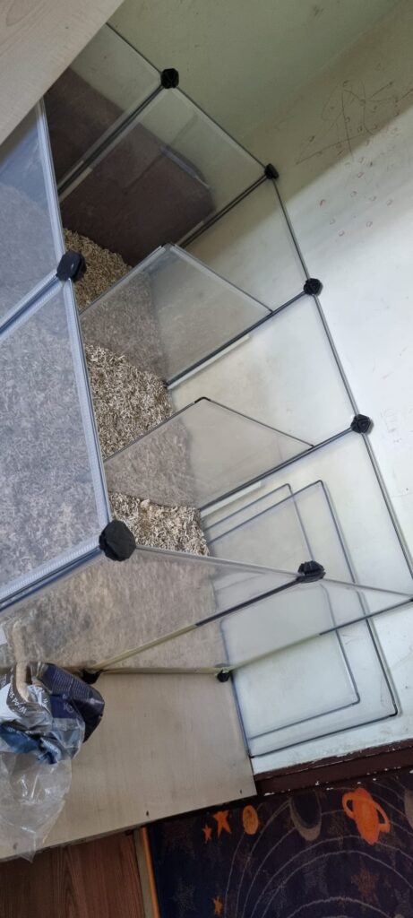 Image #1 from Nicoleta