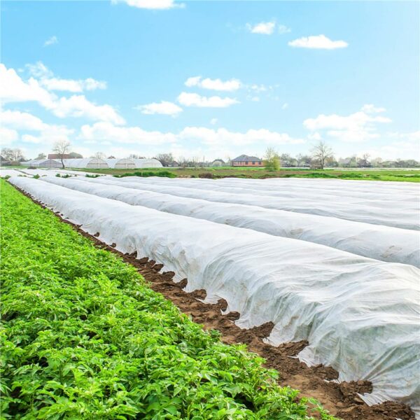 Agrotextil, mulcsozás, gyomirtó, UV szűrő, 50 x 1,1 méter, 70g/m2, fehér - Image 15