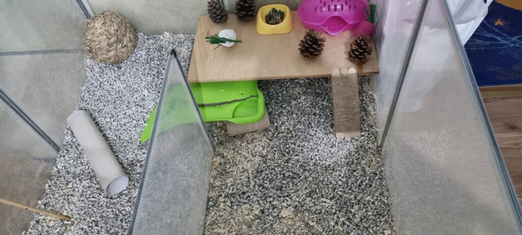 Image #2 from Nicoleta