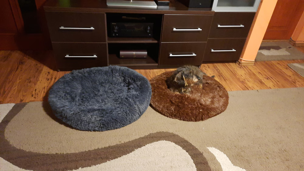 Image #1 from Dombi E