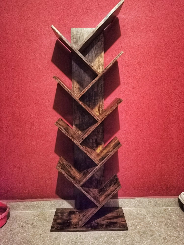 Image #1 from camelot