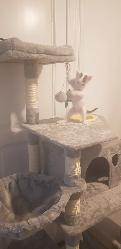 Image #1 from Efrim S