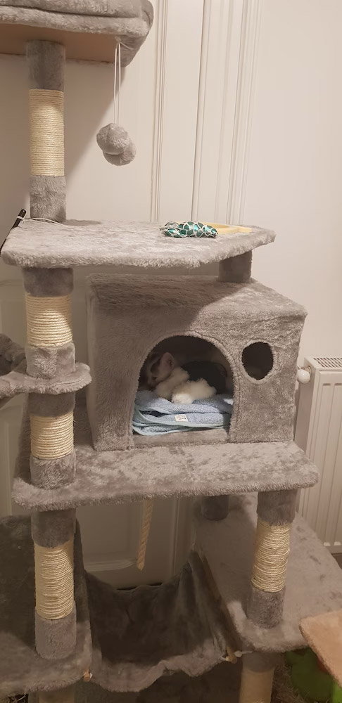 Image #2 from Efrim S