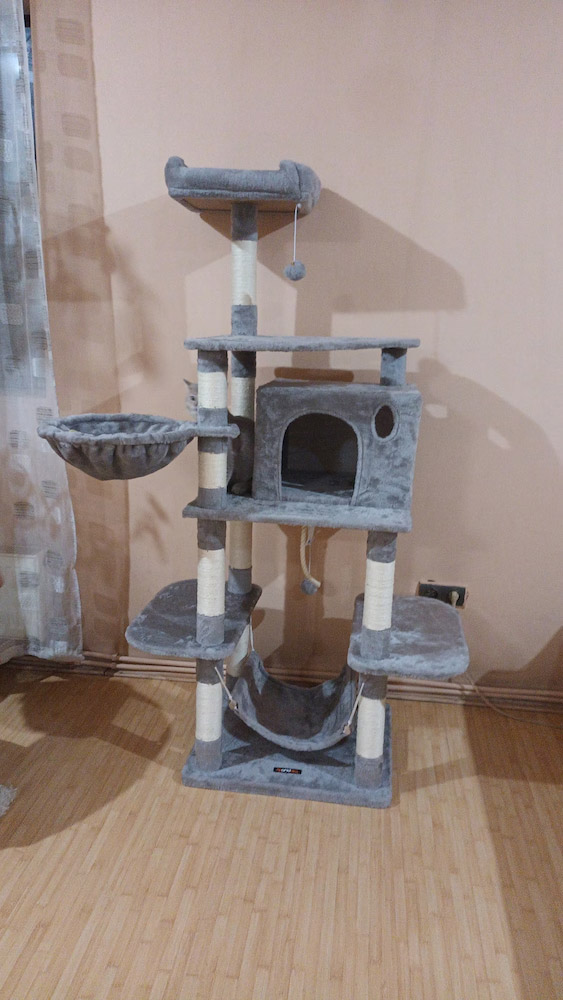 Image #1 from T. Maya