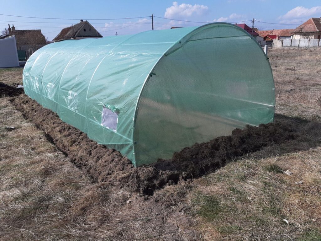 Image #3 from Delibas Ioan