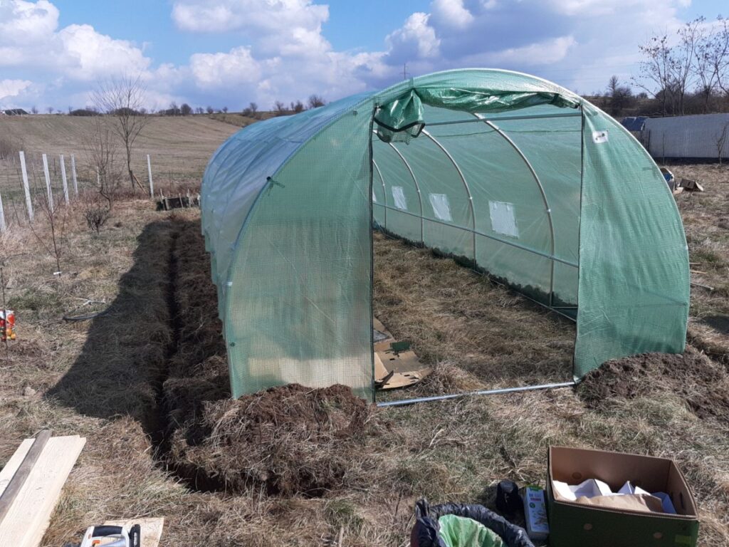 Image #2 from Delibas Ioan