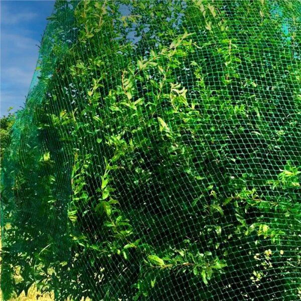 Plasa anti pasari 5x50m din polietilena, verde - Image 7