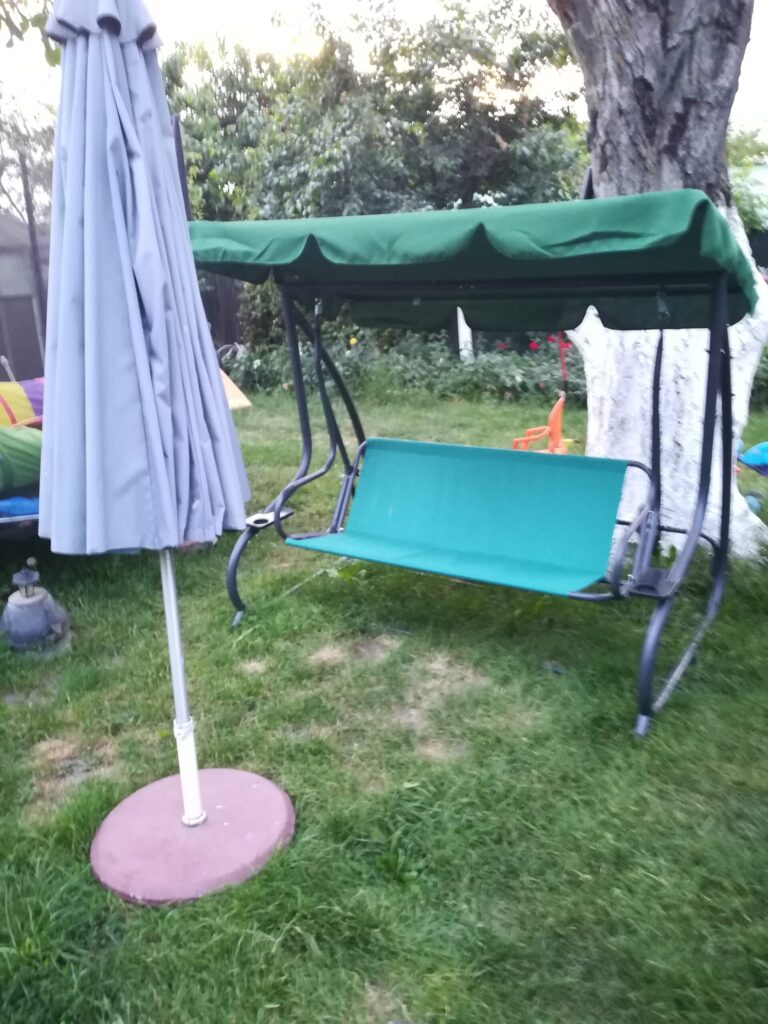 Image #1 from Niculescu Dimitrie