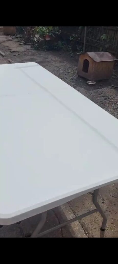 Image #2 from Mariana Manole