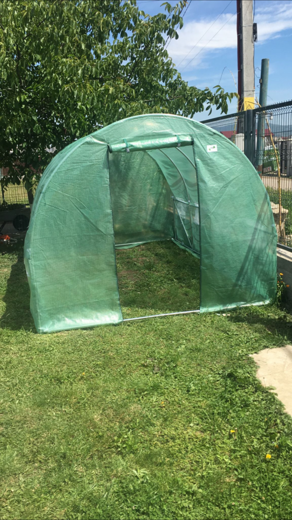 Image #2 from Cosma Clementina