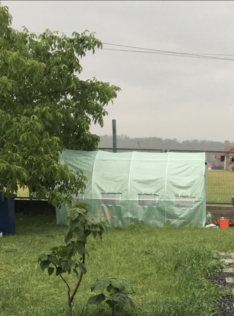 Image #1 from Cosma Clementina