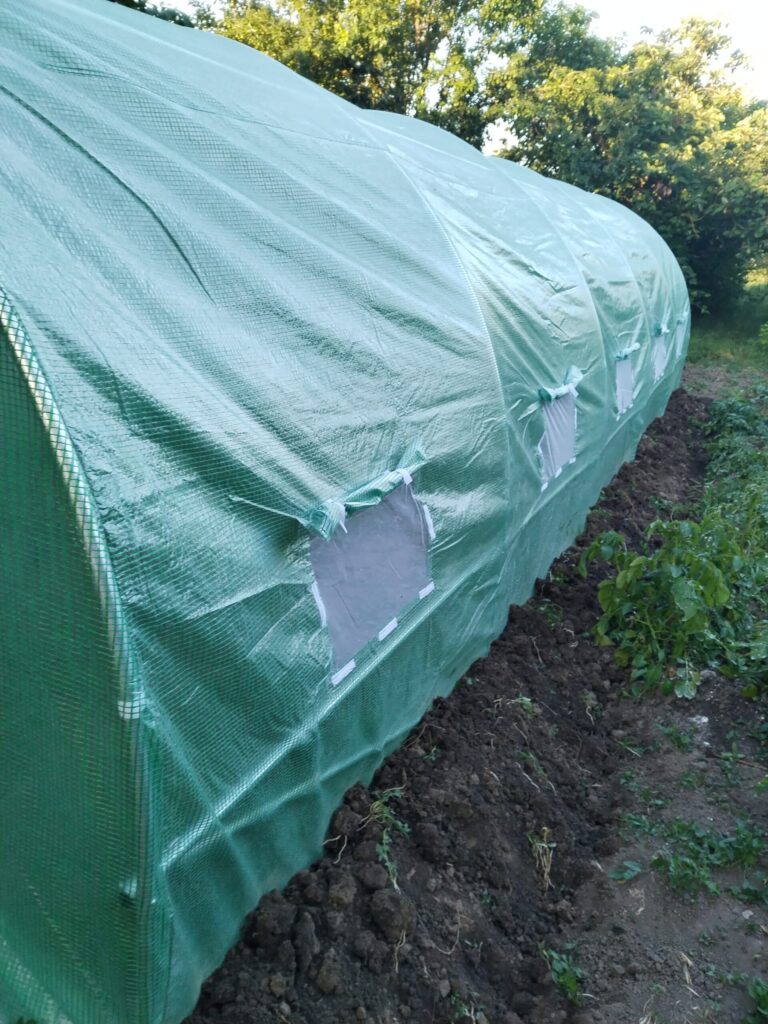 Image #1 from Constanta Marilena Manea