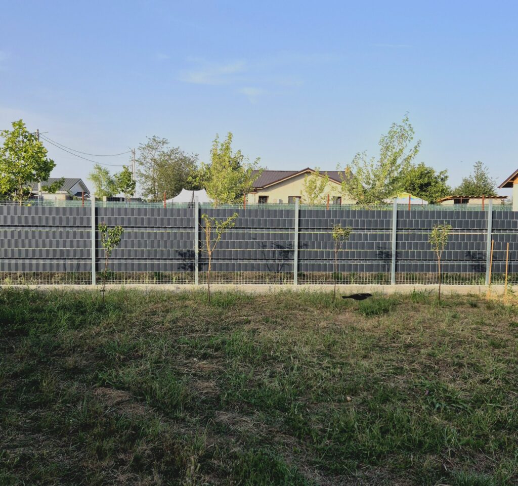 Image #1 from Mihaela