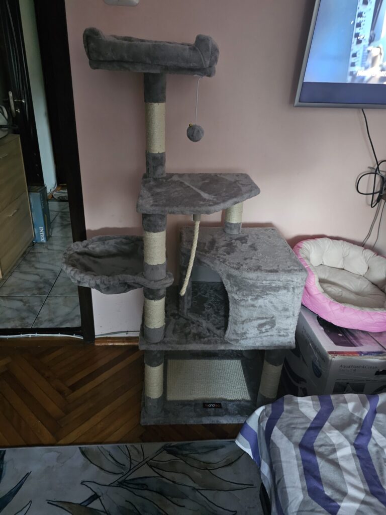 Image #1 from Sorin