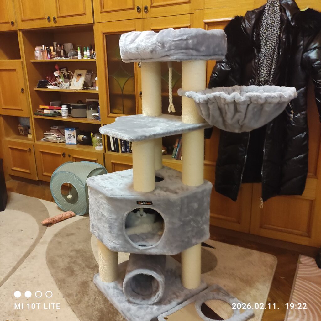 Image #1 from Ágnes Szívósné Nagy