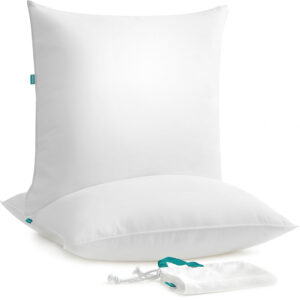 SONGMICS 2 db puha felületű párna készlet, 80x80 cm, töltelék 1500 g, fehér