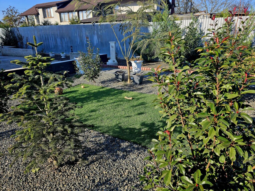 Image #3 from Paulisan Simona